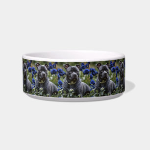 Écuelle Staffordshire Bull Terrier dans un jardin de roses