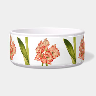 Écuelle Sucre de canne sur un bol de salade