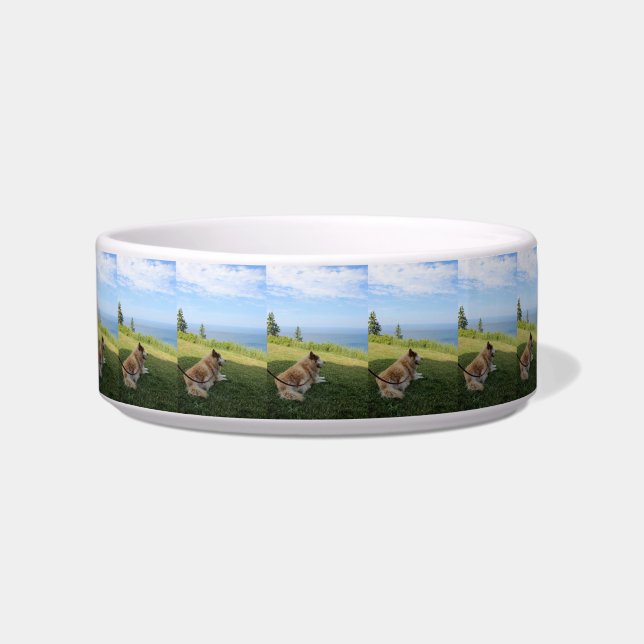 Écuelle Suka savourant le bol pour animaux de Cape George (Devant)