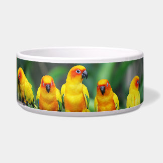 Écuelle Sun Conures