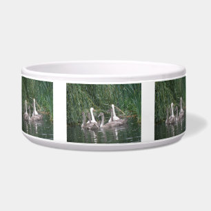 Écuelle Swans et Cygnets Pet Bowl