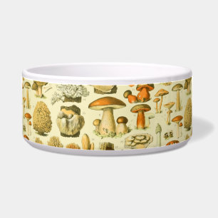 Écuelle Tabouret de toilette Vintage de champignons Illust