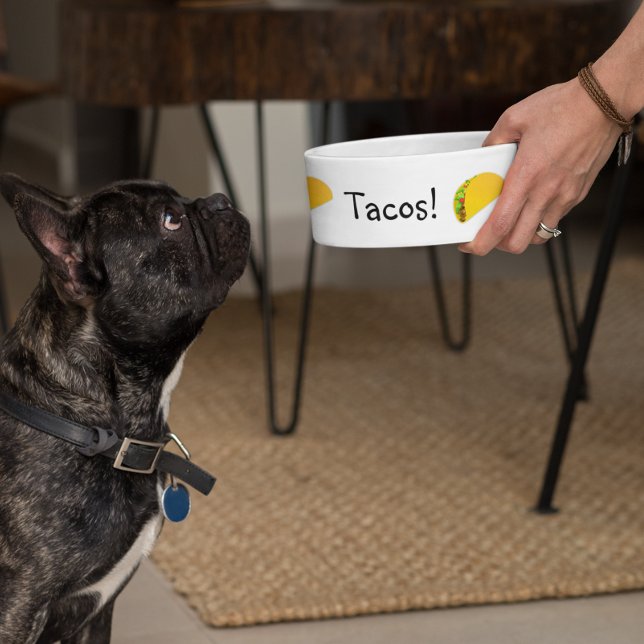 Écuelle Tacos Drôle Humour chien animal (Créateur téléchargé)