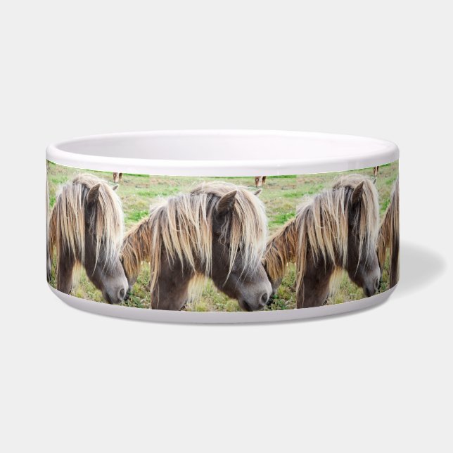 Écuelle Tan Coloré Shetland Pony, (Devant)