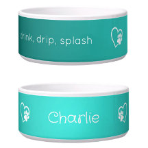 Teal 'drink drip splash' Dog Name Bowl