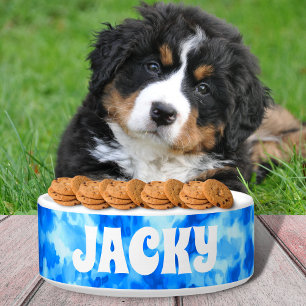 Écuelle Teinture à tarte bleue Nom personnalisé du chien o
