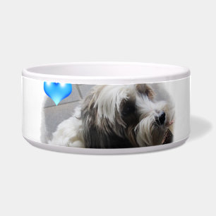 Écuelle Terrier tibétain adorable avec un arc d'aliments
