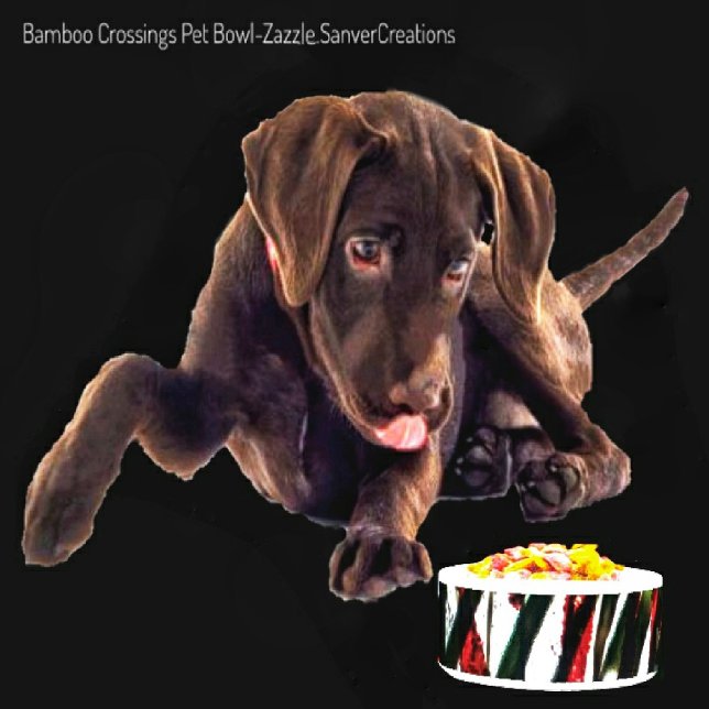 Écuelle Traversée en bambou (Créateur téléchargé)