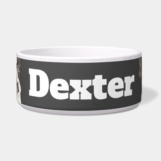 Écuelle Triangle de Boston Terrier (Devant)