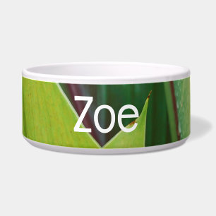 Écuelle Tropical Green Feuilles Pet Bowl avec ZEO Texte