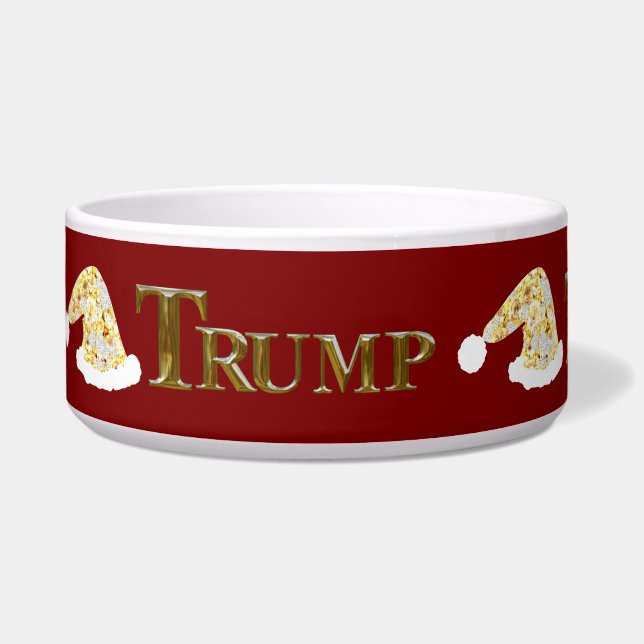 ÉCUELLE TRUMP 2024 (Devant)