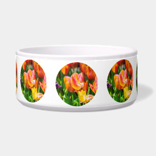 Écuelle Tulipes Enchanter 17