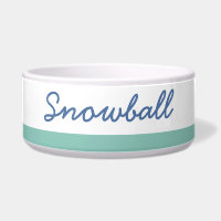 Turquoise Navy Blue Stripe Simple Modern Pet Name 