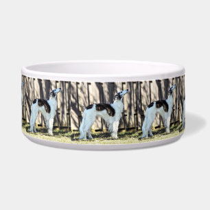 Écuelle Un Windhound Silken