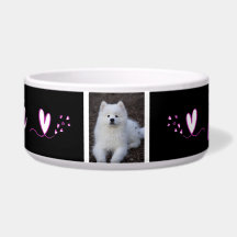 Ecula, hondenkom, kat, c-dier