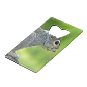 Écureuil (Devant Angle)