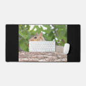 Écureuil (Clavier et souris)