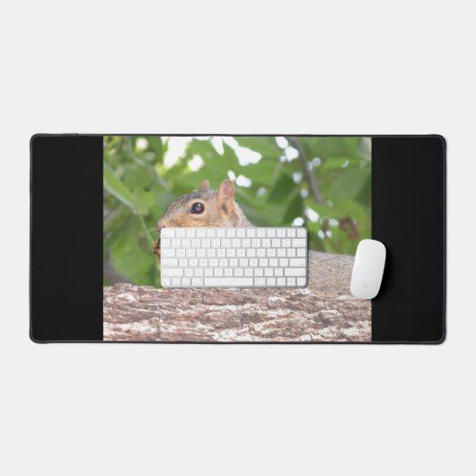 Écureuil (Clavier et souris)