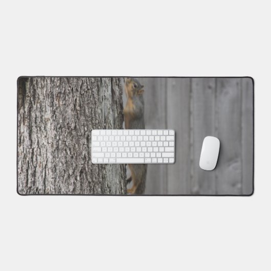 Écureuil (Clavier et souris)