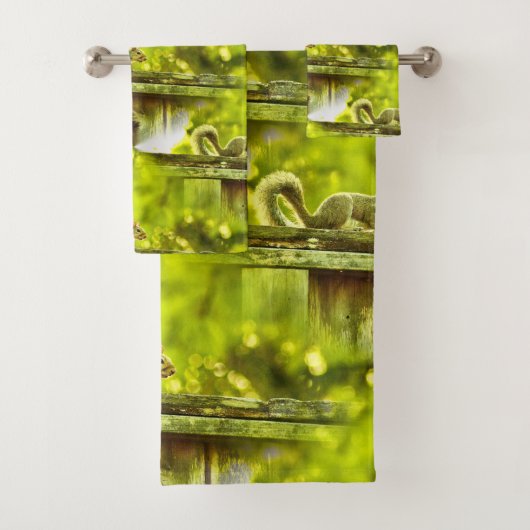 Écureuil (En situation)