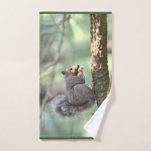 Écureuil (Serviette à main)