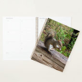 Écureuil affamé (Devant avec enveloppe)