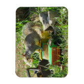 Écureuil affamé sur le Magnet de camion de jouets (Vertical)