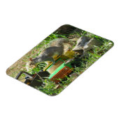 Écureuil affamé sur le Magnet de camion de jouets (Côté Gauche)