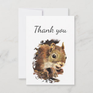 Écureuil Animal Curieux Petit Mignon Merci