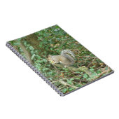 Écureuil au Carnet d'Acorn (Côté Droit)