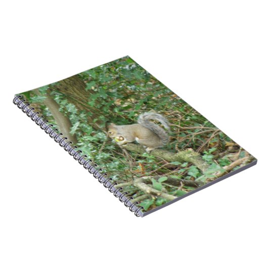 Écureuil au Carnet d'Acorn (Côté Droit)