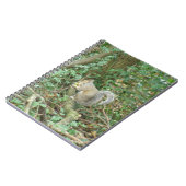 Écureuil au Carnet d'Acorn (Côté gauche)