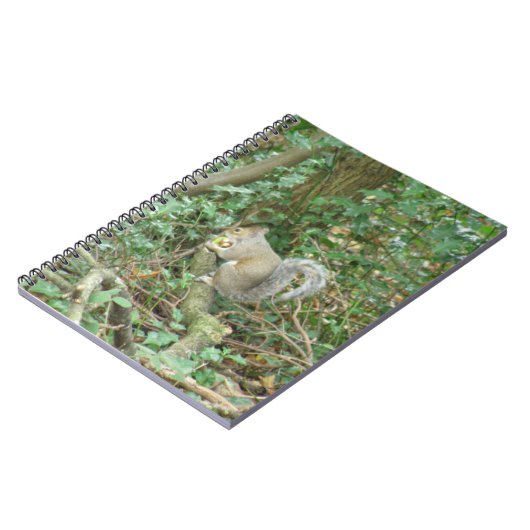 Écureuil au Carnet d'Acorn (Côté gauche)