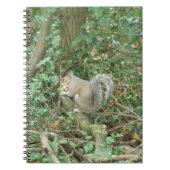 Écureuil au Carnet d'Acorn (Devant)