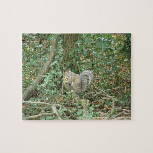Écureuil au puzzle Acorn (Horizontal)