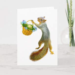 Écureuil avec carte à panier à ressort