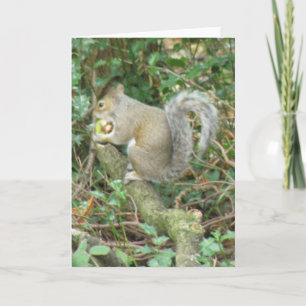 Écureuil avec carte de voeux Acorn