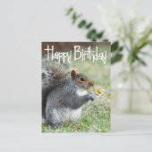 Écureuil avec Daisy Happy Birthday Carte postale (Debout devant)