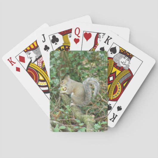 Écureuil avec des cartes de jeu Acorn (dos)