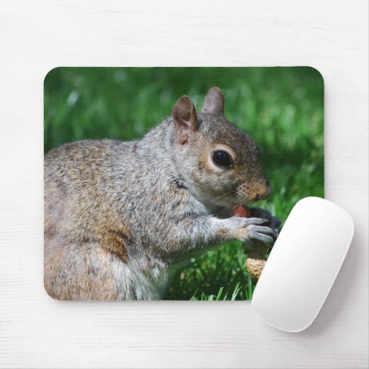 Écureuil avec le tapis de souris d'écrou (Avec souris)