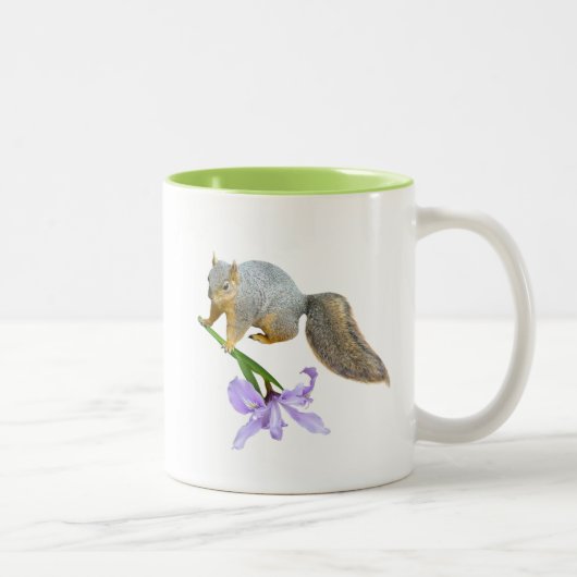 Écureuil avec Mug d'Iris sauvage (Droit)