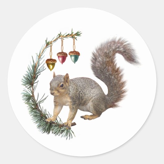 Écureuil avec Stickers Swag Acorn (Devant)