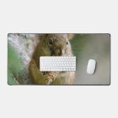 Écureuil Brun Paisible dans la Nature (Clavier et souris)