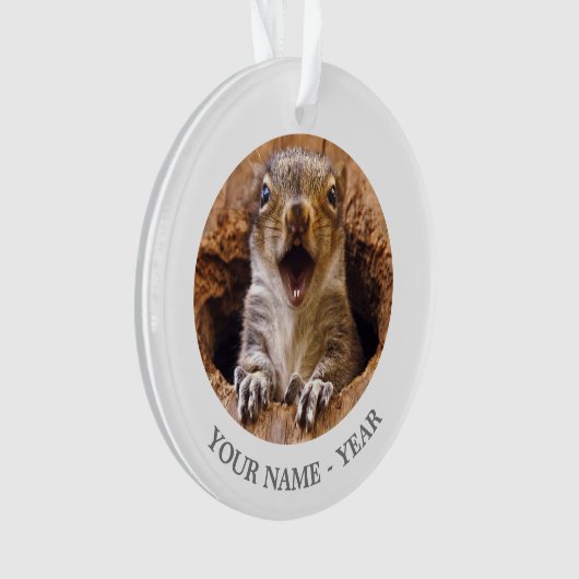 Écureuil choqué (devant)