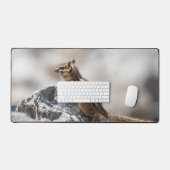 Écureuil curieux dans la nature (Clavier et souris)