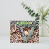 Écureuil dans la carte de voeux de la forêt (Debout devant)