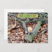 Écureuil dans la carte de voeux de la forêt (Devant / Derrière)