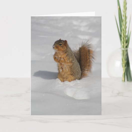Écureuil dans la carte de voeux de neige (Devant)