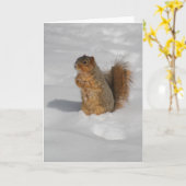 Écureuil dans la carte de voeux de neige (Fleur jaune)