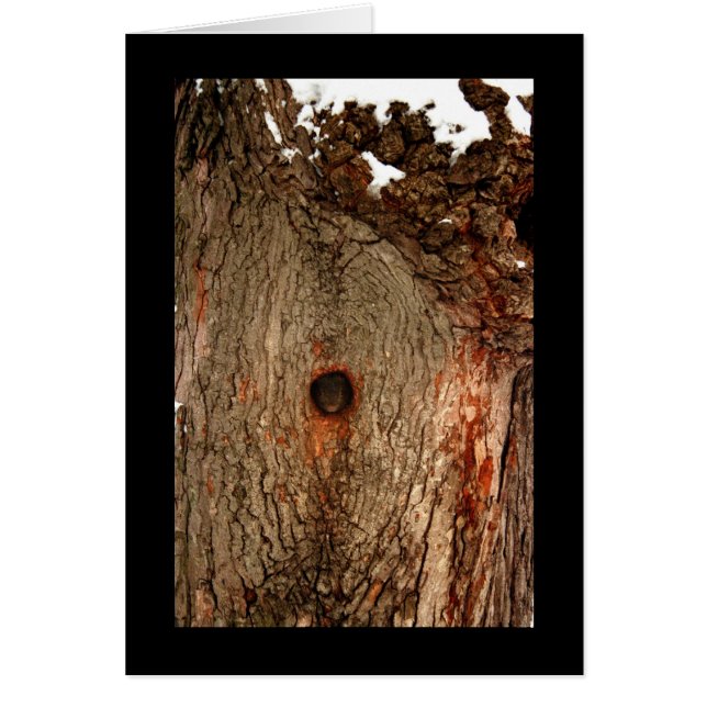 Écureuil dans l'arbre (Devant)